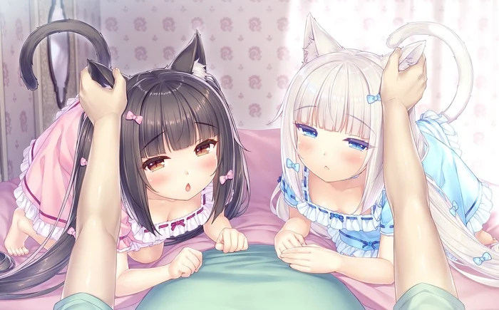 Kitties))) - Anime, Anime art, Nekopara