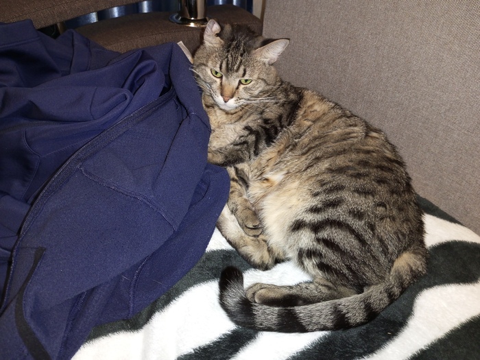 ����� �����