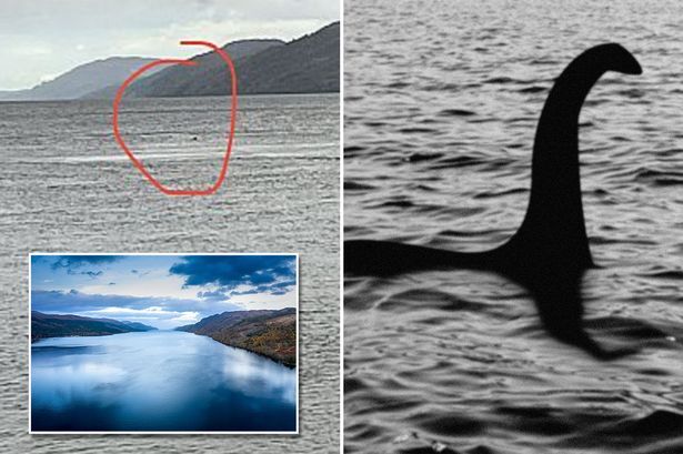Interesting facts about the Loch Ness monster - Loch Ness monster, Facts, Humor, 2022