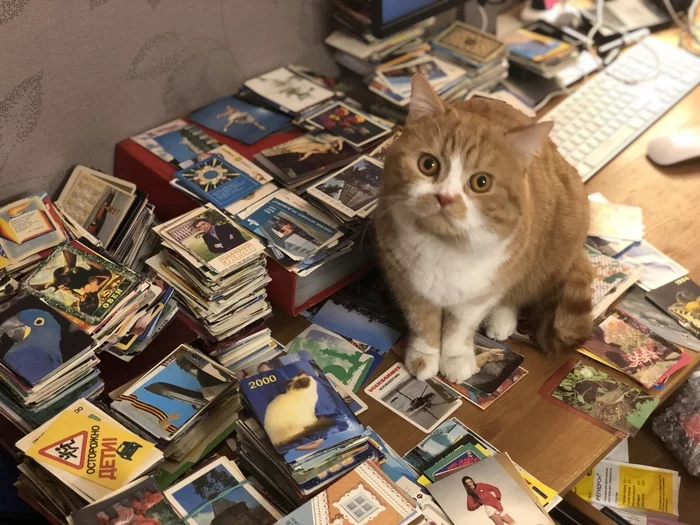My collection of pocket calendars - My, Collection, Collecting, Storage, Hobby, Philotaymia, cat, IKEA, The calendar, Longpost