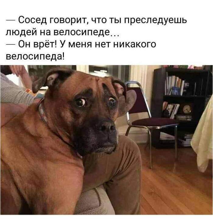 Эти глаза | Пикабу