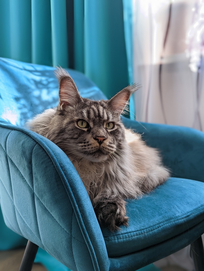 �������� ���