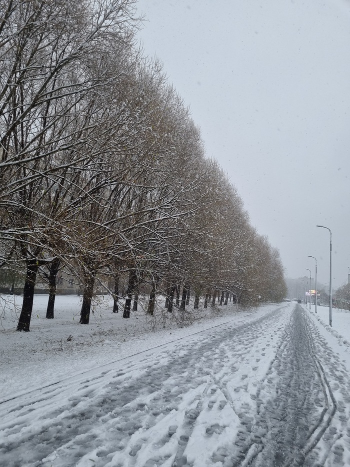 ������ �� �����������