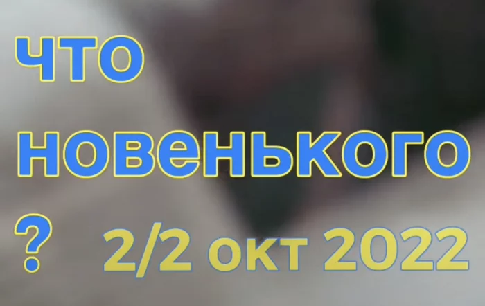 Что новенького? 2/2 окт 2022 - Моё, Новости, Законодательство, Длиннопост