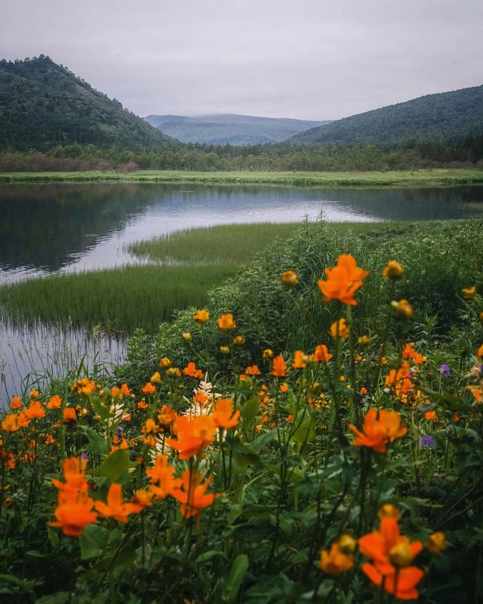 Озеро Тихое, Хабаровский край