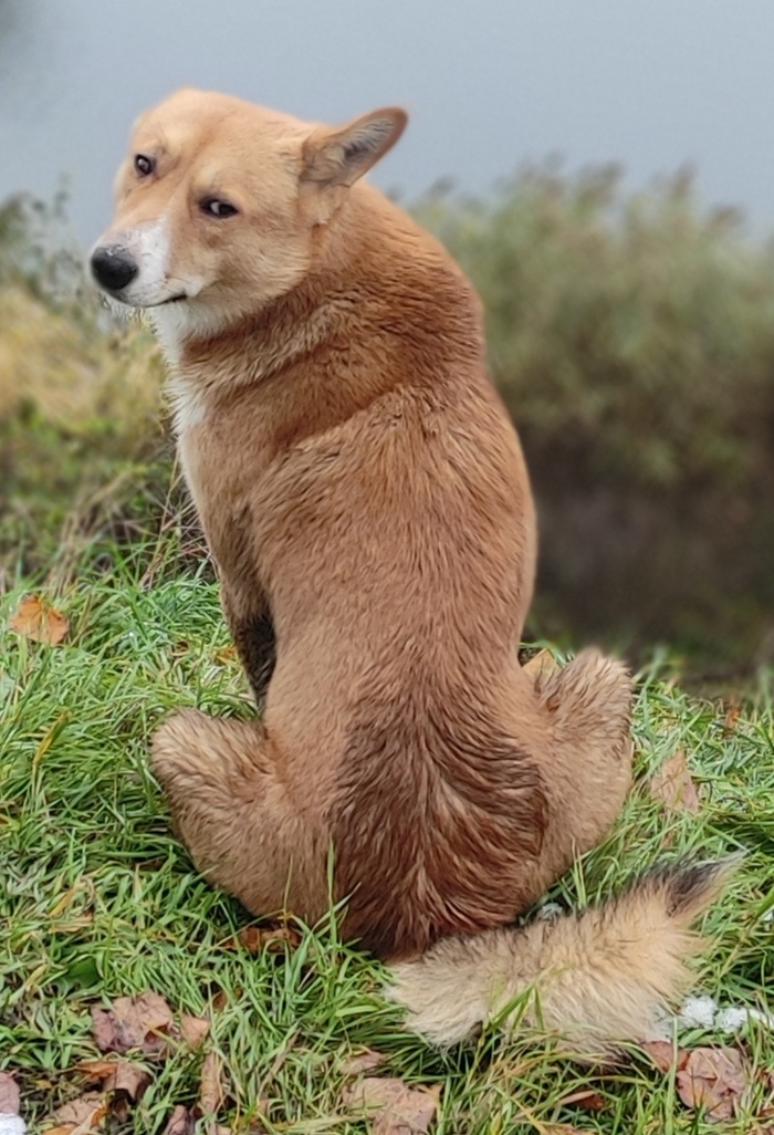 Не мешайте медитировать!