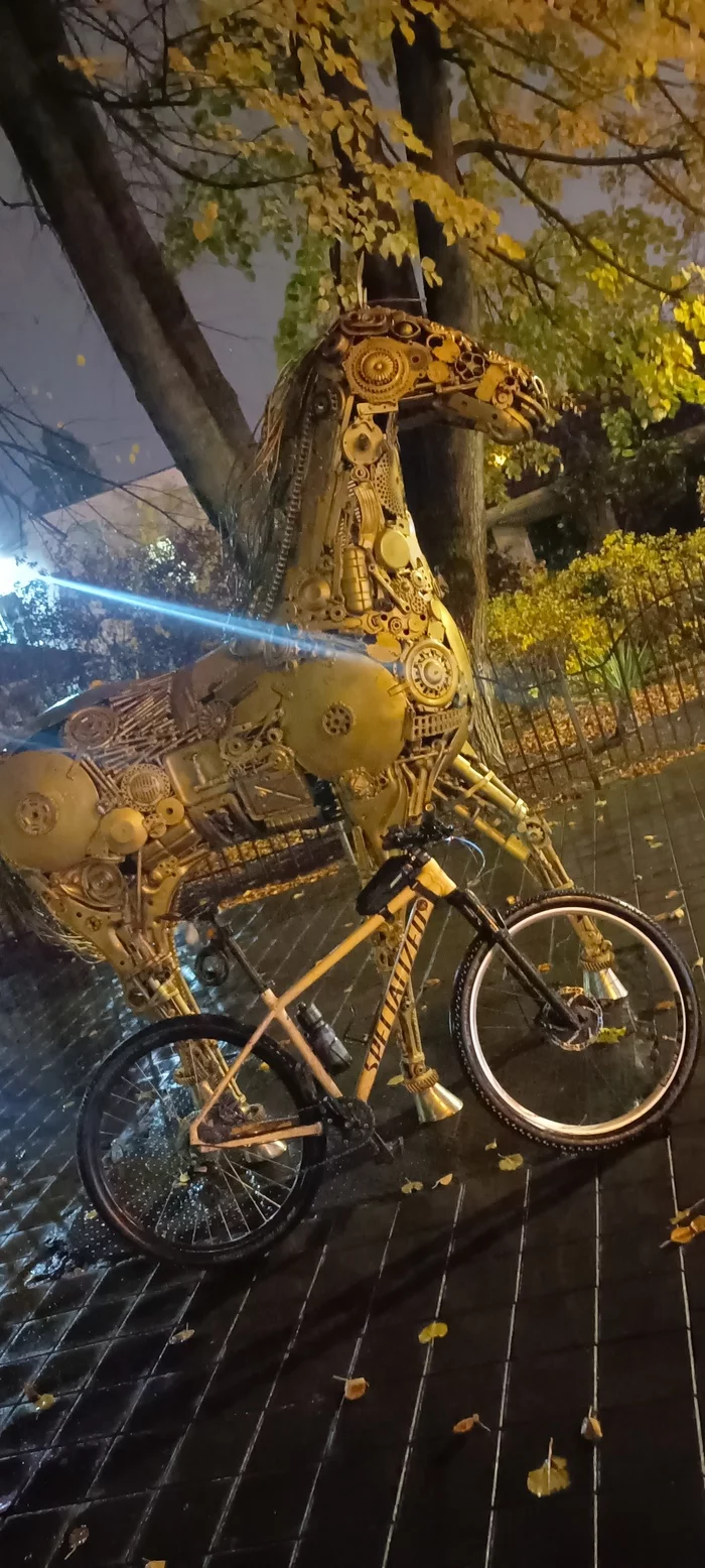 Give it a ride - My, Krasnodar, A bike, Fix, Mtb, Longpost
