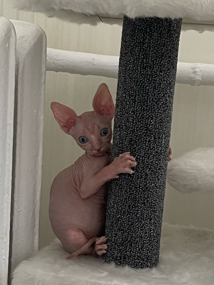 �������