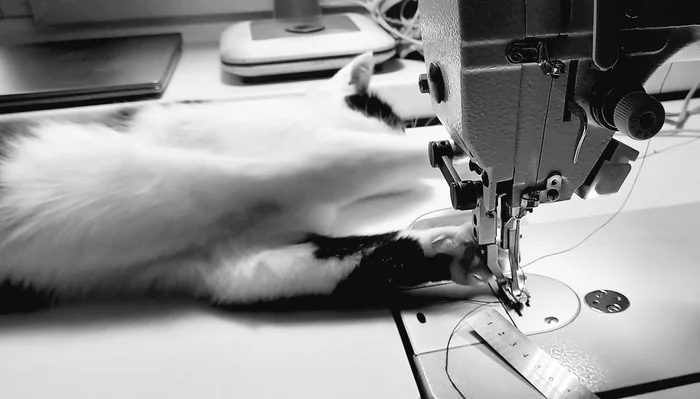 Your little business :) - My, Sewing, Tourism, With your own hands