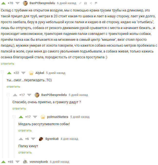 Он смог! Медаль ему! Или... - Картинка с текстом, Комментарии, Комментарии на Пикабу, Мат, Попадание