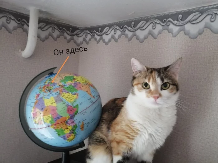My cat wants to be a geographer - My, cat, Geography, Republic of Belarus, the globe, The science