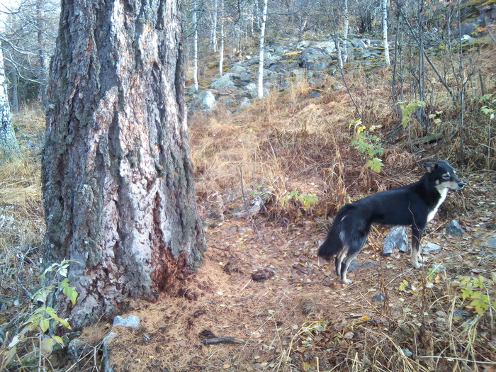 Продолжение поста «Ещё один рубеж»