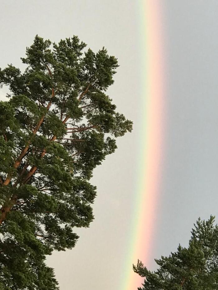 Снимку два года. Решил поделиться