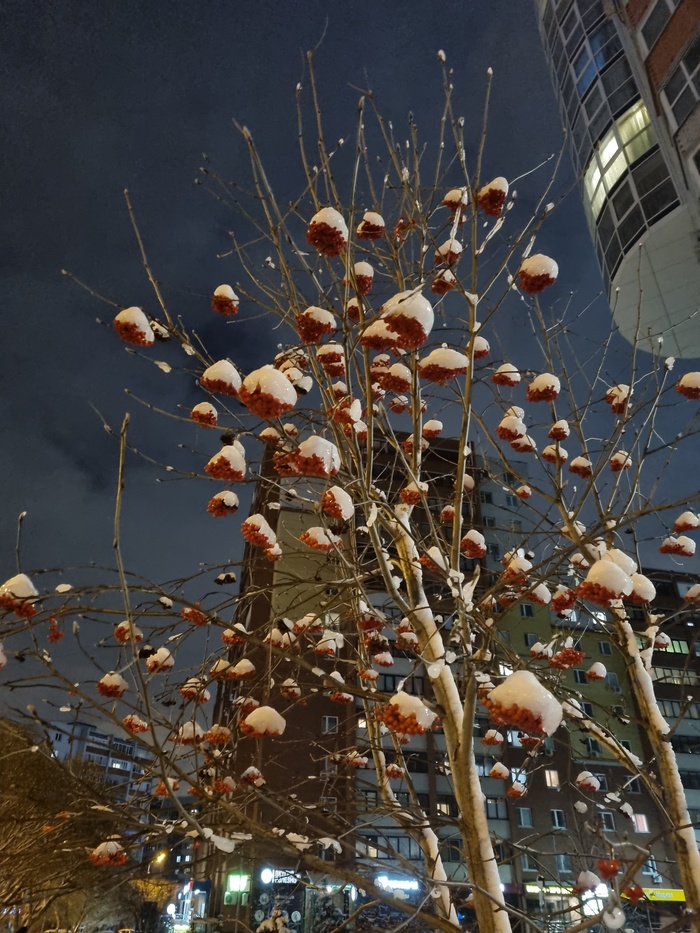 � ������, � ������, ��� ������� � ������...