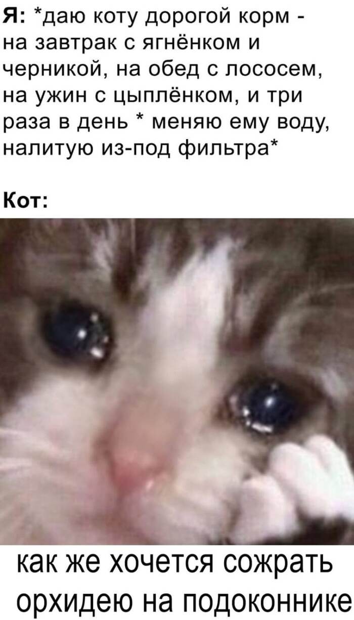           , ,   