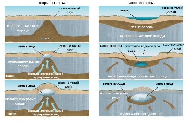 Heaving bumps - Nature, Permafrost, Longpost, The nature of Russia