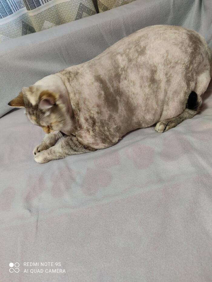 Ÿ   , ,  , 