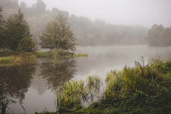 autumn morning - My, The photo, The nature of Russia, Landscape, Nature, Fog, Morning, beauty, Autumn, Sadness, Mood, Tree, Water, Reflection