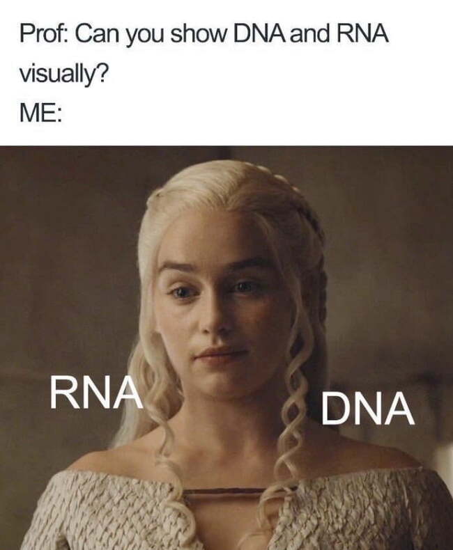 RNA and DNA - Subtle humor, Biology, DNA, RNA, Not everyone will understand, Picture with text