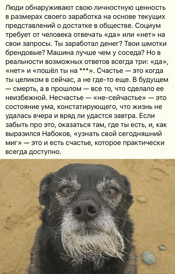 Здесь и сейчас