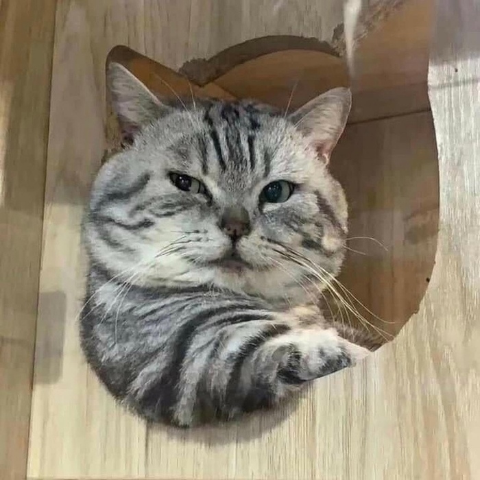 Daamn - I'm good) , , , 