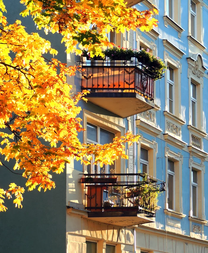 Sunny photo from Chernyakhovsk - My, Kaliningrad region, Kaliningrad, Chernyakhovsk, The photo, Architecture, Autumn, Maple, City walk, sights, Balcony