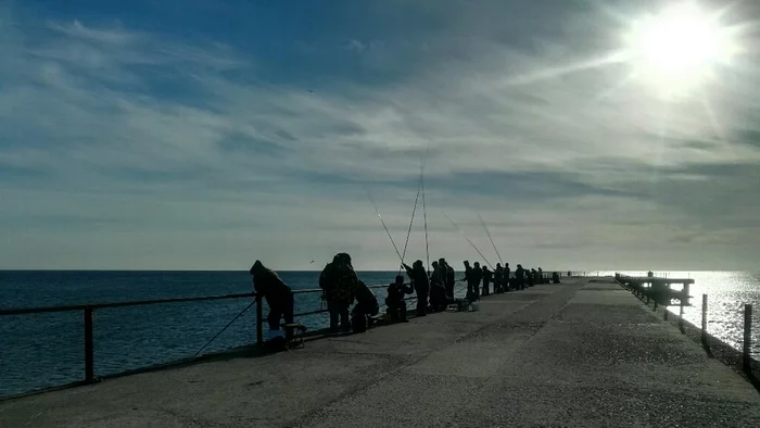 Fishing in Lermontovo. Mullet - My, Lermontovo, Fishing, Mullet, Kittens, Mobile photography, Longpost