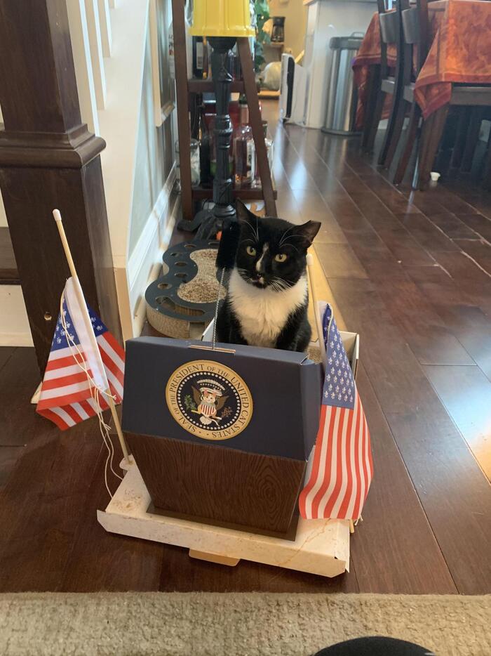 ������������ �������