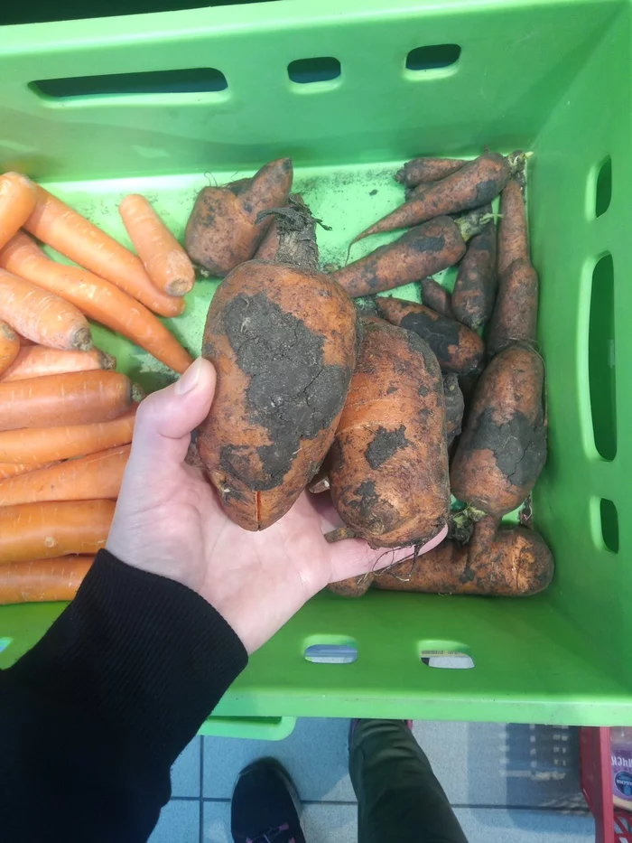 Carrots were brought to Magnit - fly in, sort it out! =) - Carrot, Products, Products, Longpost
