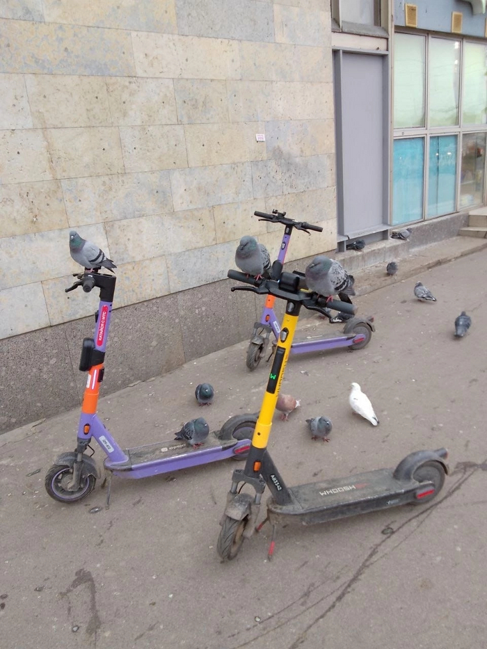 ������ ������� ������ ��� ����