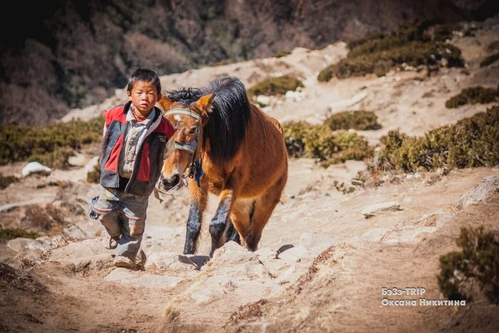 Childhood under the shadow of Everest - My, Parenting, Parents and children, Travels, Nepal, Longpost