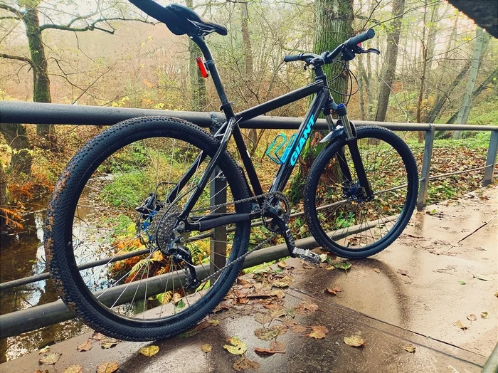 Velo autumn - A bike, Kaliningrad, Kaliningrad region, Autumn, Mtb, Longpost