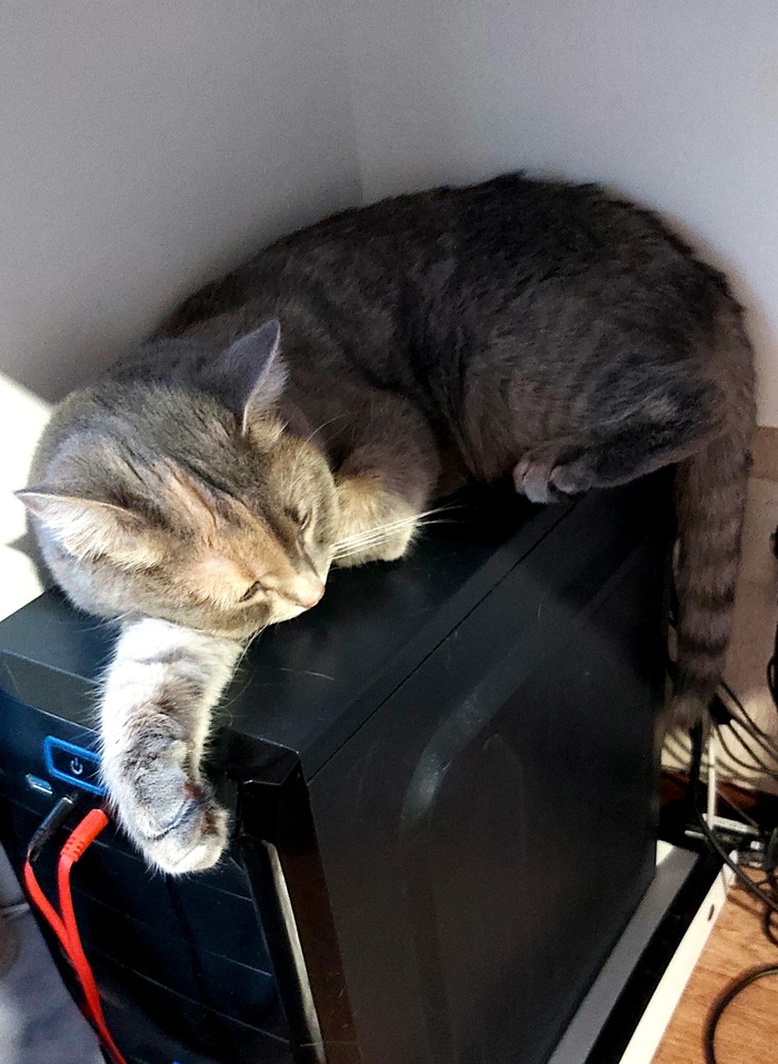 ����� � ����� �� ������