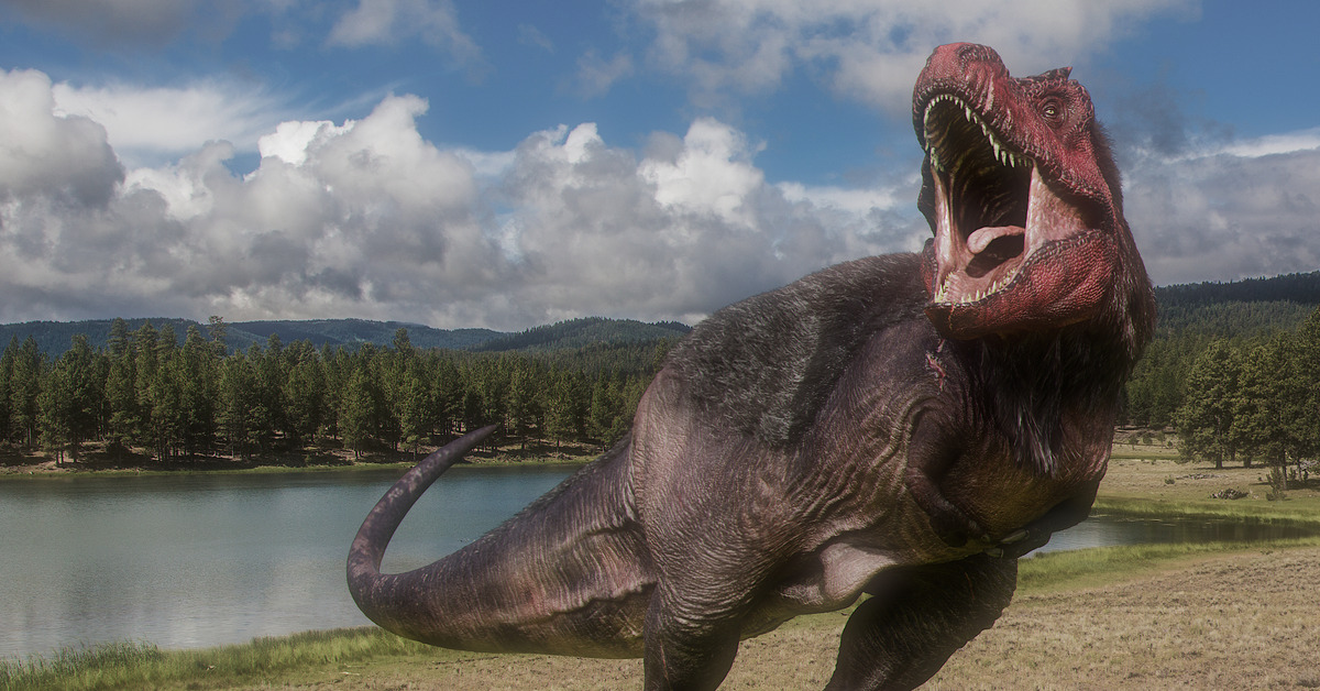 Какие бывают настоящие. Динозавры Африки Юрского периода. Динозавры настоящие. Настоящих динозавров.