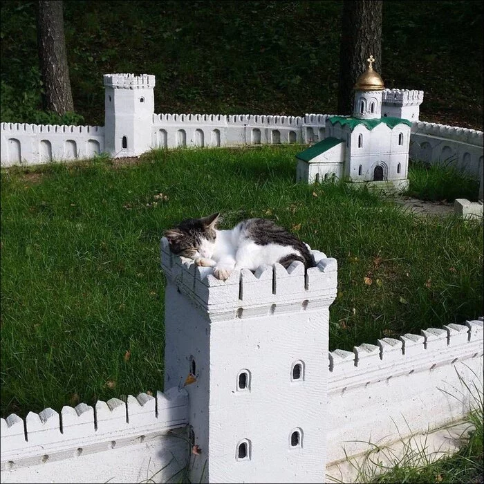 Looks like a watchtower - cat, Kremlin, Mozhaisk, Dream, Milota, Reconstruction