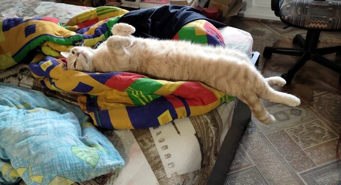  , , , , ,  