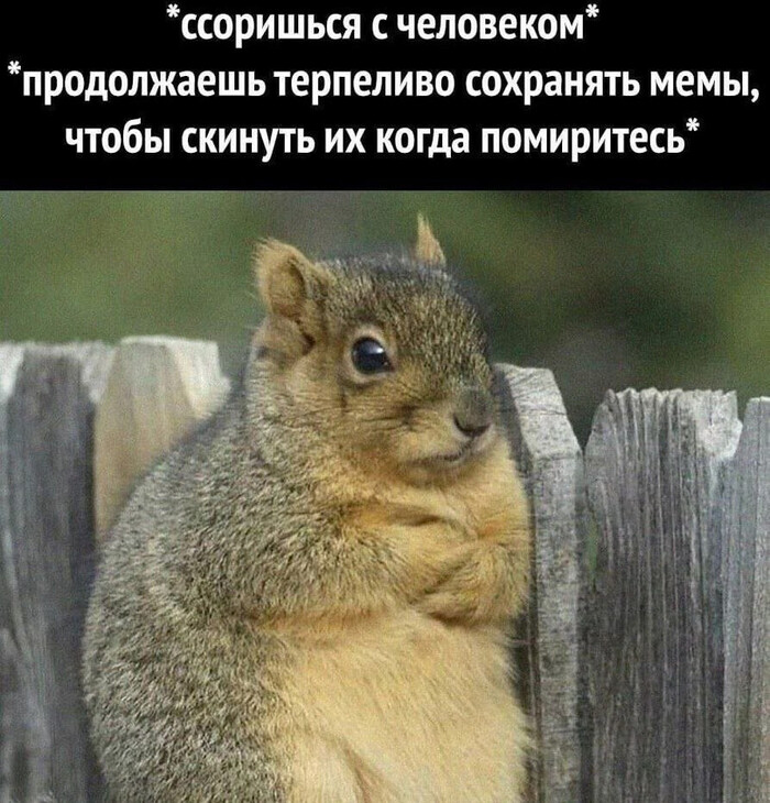    )   , , 
