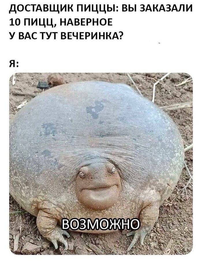 ����� �������� ��������� �� ������