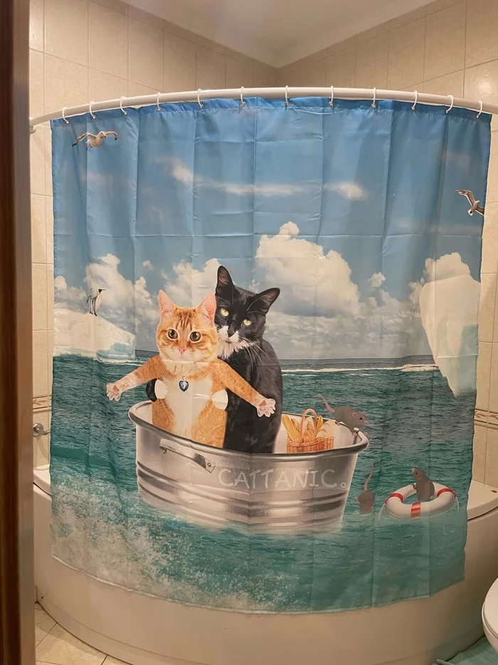 There is no perfect bathroom screen... - Humor, cat, Bath, Titanic, Bath curtain