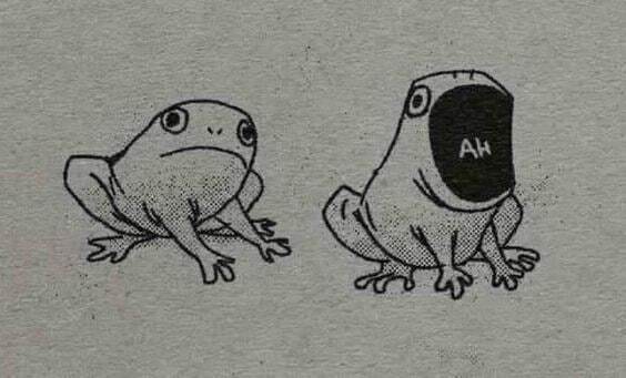 Little frog says A. We understand you, little frog - Toad, Wednesday, It Is Wednesday My Dudes, Frogs, Images