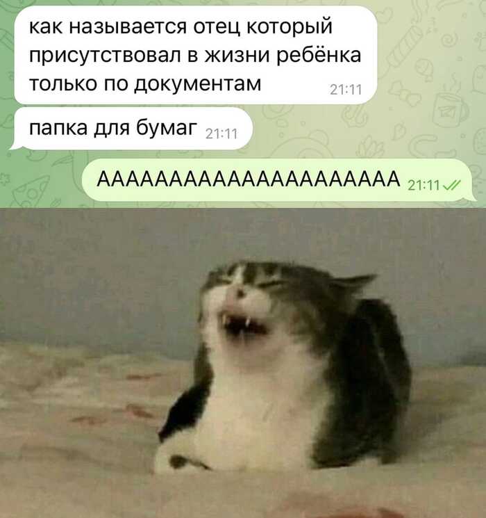  , ,  ,  , , , 