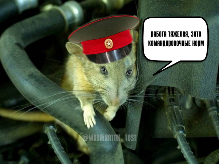 Работа тяжелая, зато командировочные норм:)