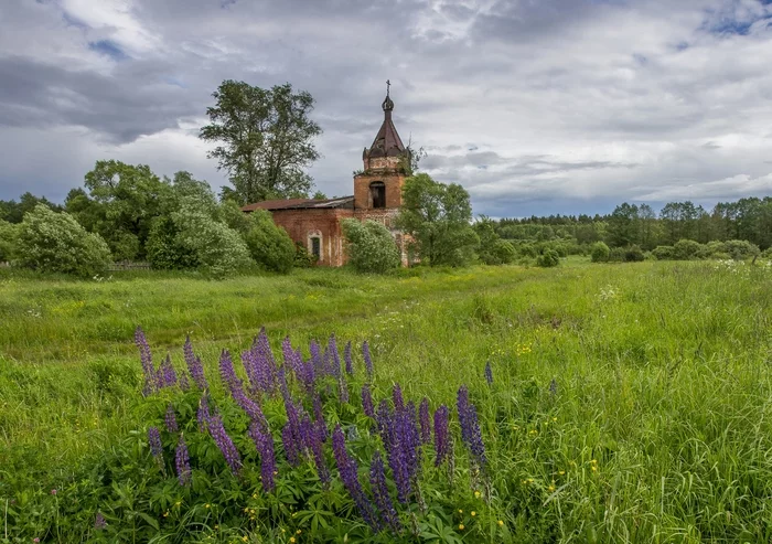 Abandoned wilderness of Vladimir region - Longpost, Architecture, sights, Temple, Monument, My