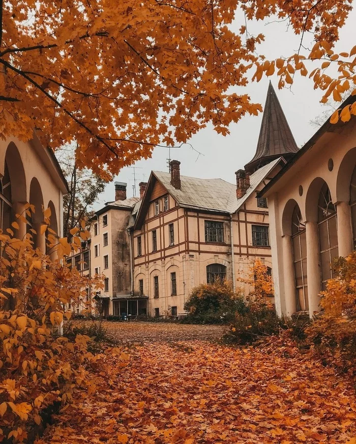 Store of the Guards Economic Society, Pushkin - Saint Petersburg, Modern, Building, Story, Architecture, Autumn