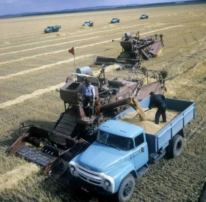 Harvesting USSR 80s - The photo, Old photo, 80-е, the USSR, Harvesting, Combine harvester, Zil