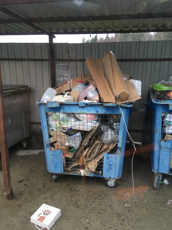 �������� �������