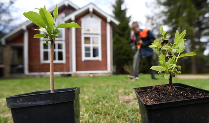 Dacha is not necessary: ??in the Russian Federation they proposed to carry out a renovation for gardeners - SNT, Dacha, Renovation, Arbitrariness, Politics, Gardening, House, Longpost, news, The property