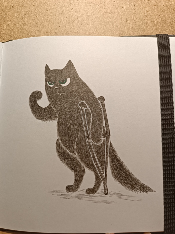 Победитель по жизни