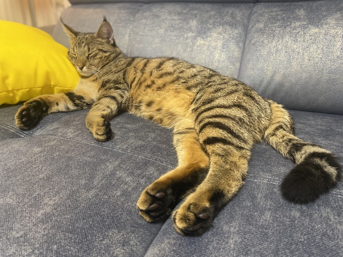 ������ ����� 3