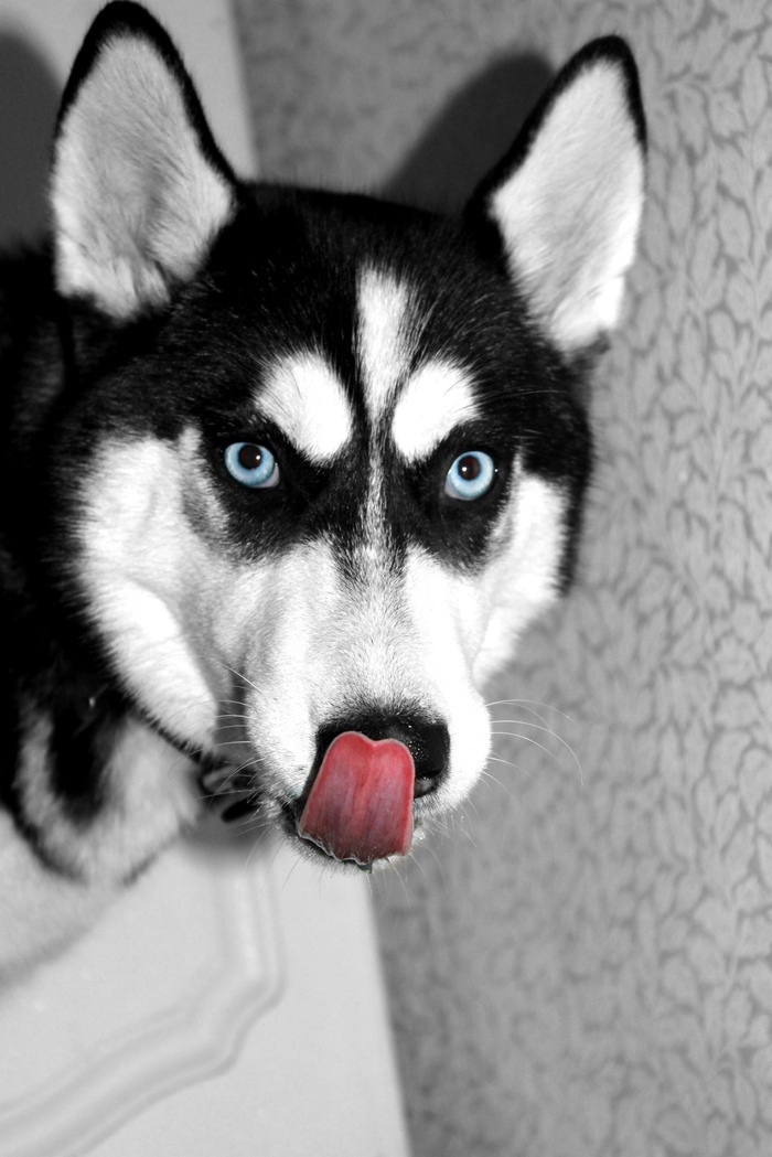 ������ - ���� ��������